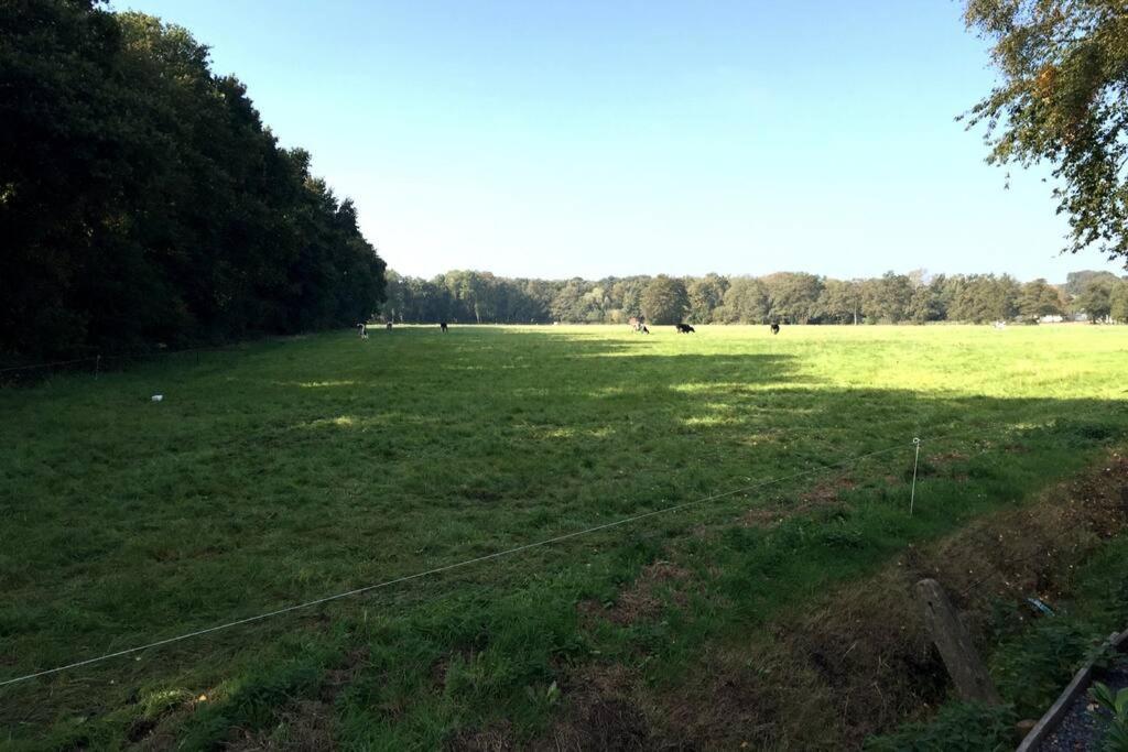 Vila Natuurhuisje Veluwe Met Houtkachel En Pizzaoven Ermelo Exteriér fotografie